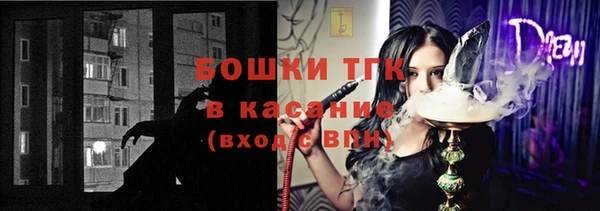 шишки Богородицк