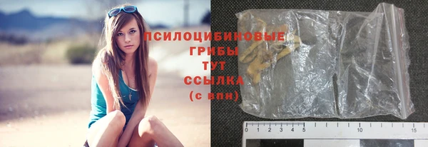 шишки Богородицк