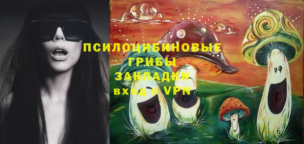 гашик Белоозёрский