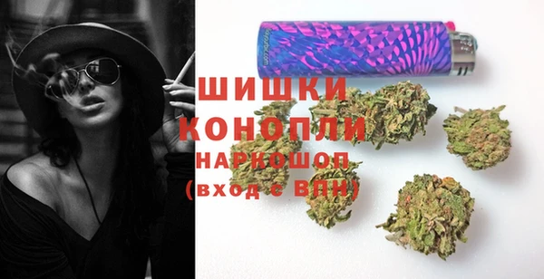 шишки Богородицк